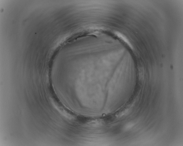 X0000075830447200610061826