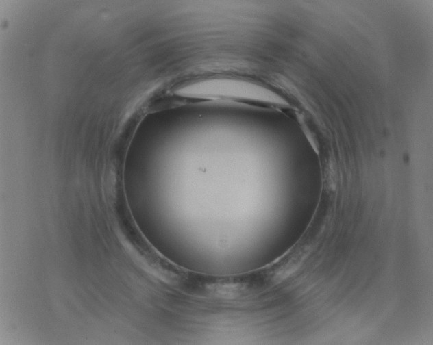 X0000075830448200610061826