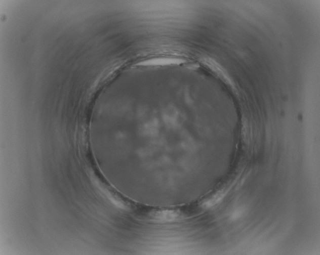 X0000075830449200610061826