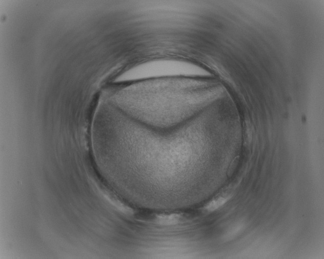 X0000075830450200610061826