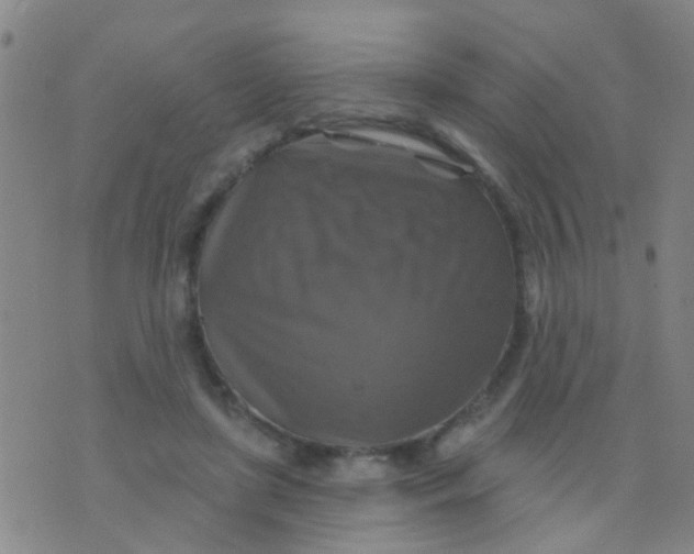 X0000075830451200610061826