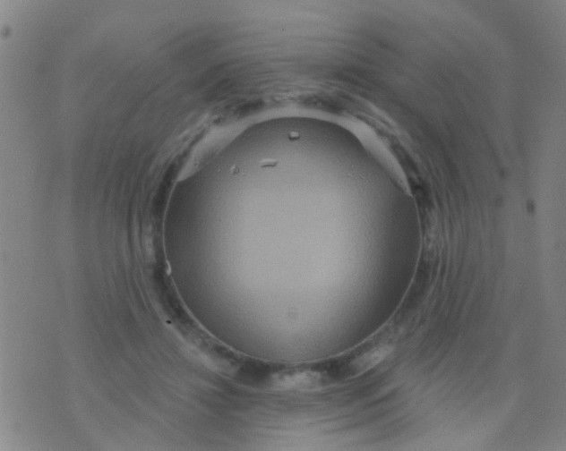 X0000075830452200610061826