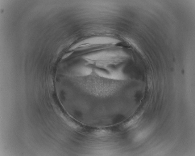 X0000075830453200610061826