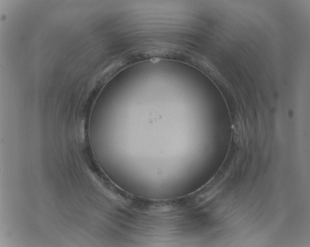 X0000075830454200610061826