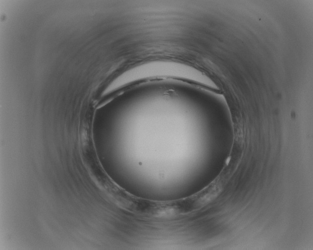 X0000075830456200610061826