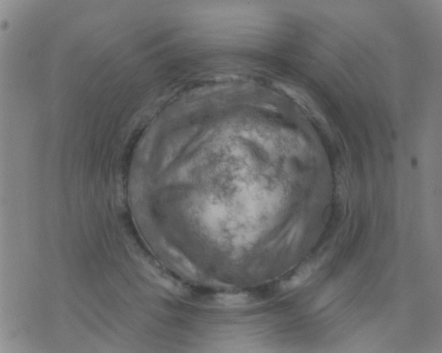 X0000075830457200610061826