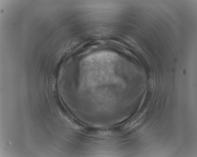 X0000075830458200610061826