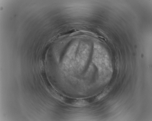 X0000075830459200610061826