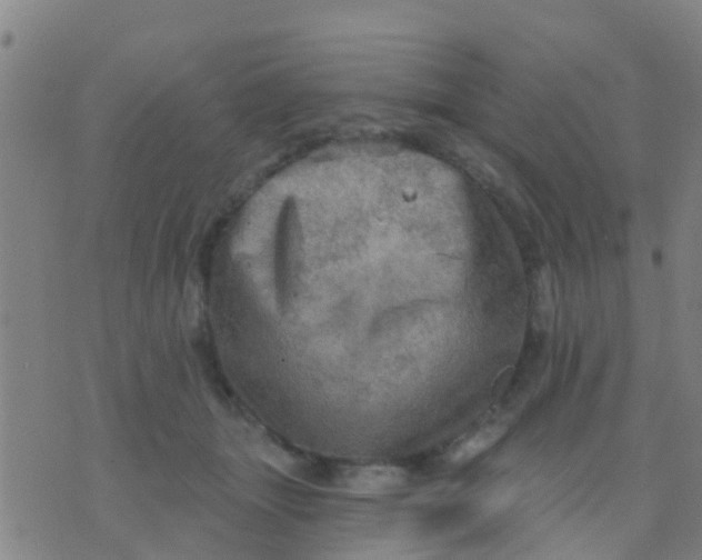 X0000075830463200610061826