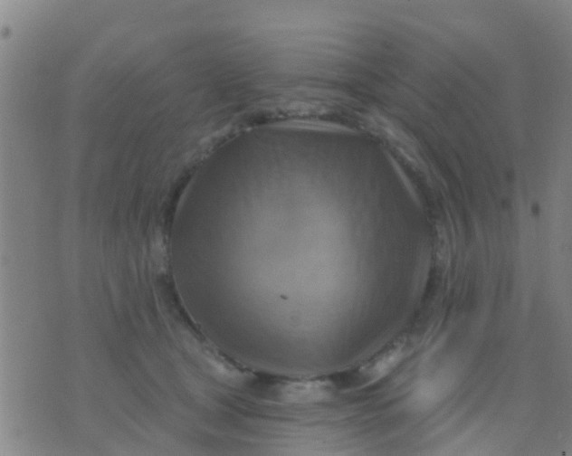 X0000075830465200610061826