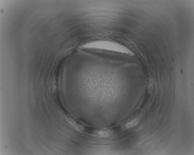 X0000075830466200610061826