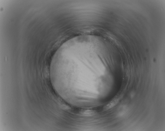 X0000075830467200610061826