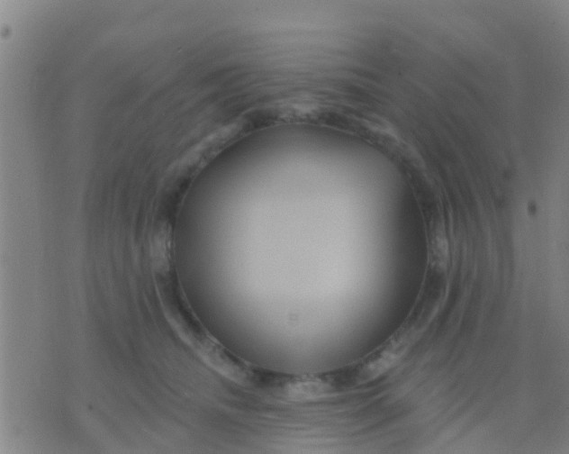 X0000075830468200610061826