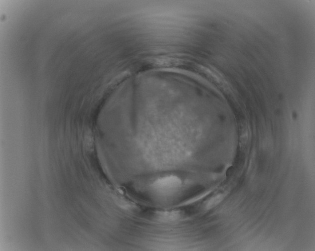 X0000075830469200610061826