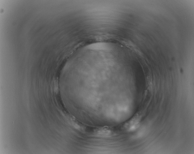 X0000075830471200610061826