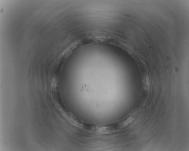 X0000075830472200610061826