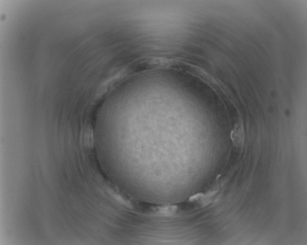 X0000075830474200610061826