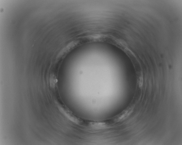 X0000075830476200610061826