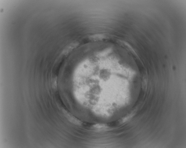 X0000075830477200610061826