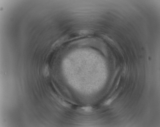 X0000075830478200610061826