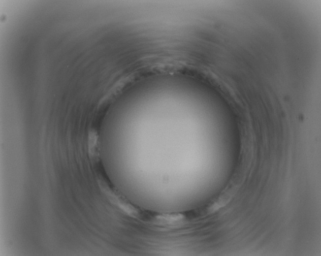 X0000075830480200610061826