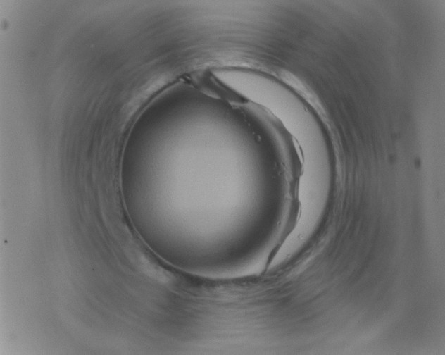 X0000075830481200610061826