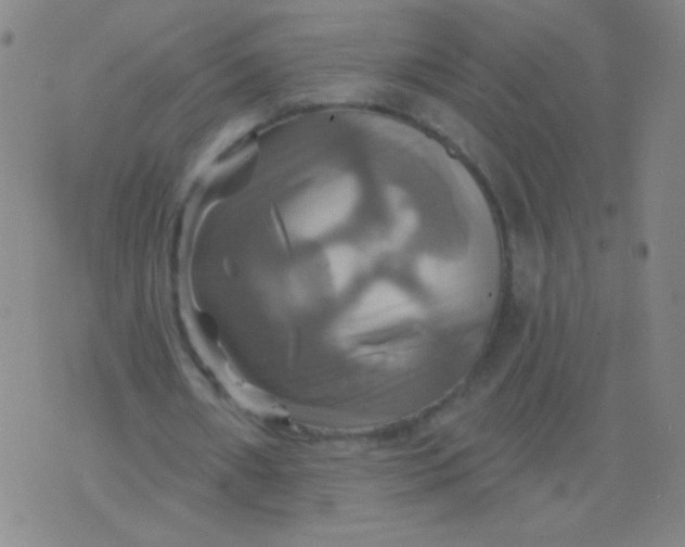 X0000075830482200610061826