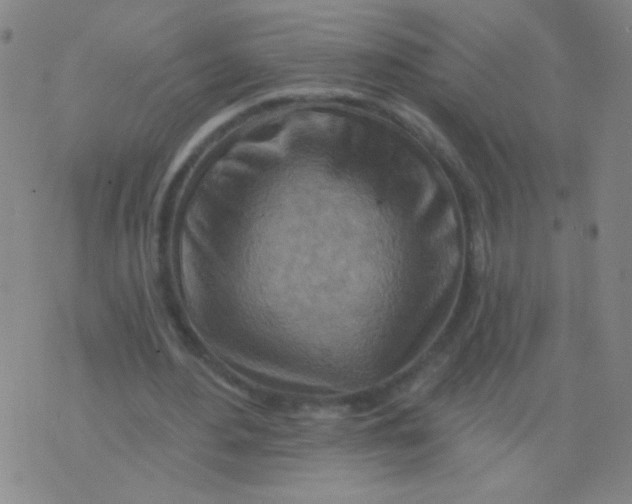 X0000075830484200610061826