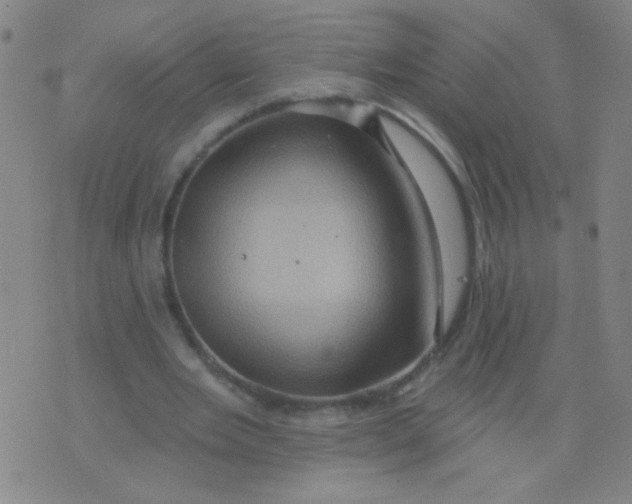 X0000075830485200610061826