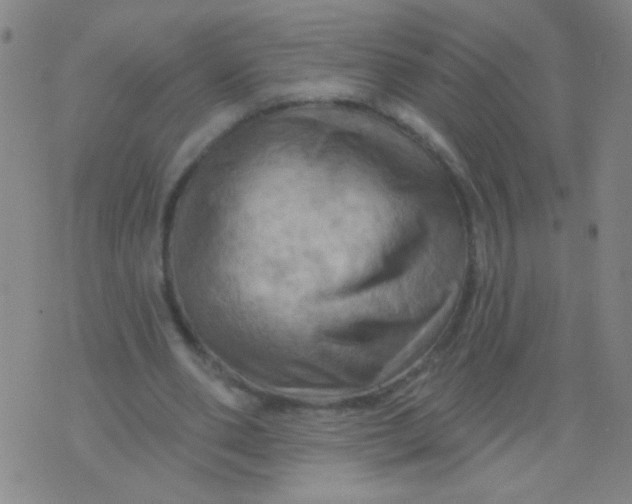 X0000075830486200610061826