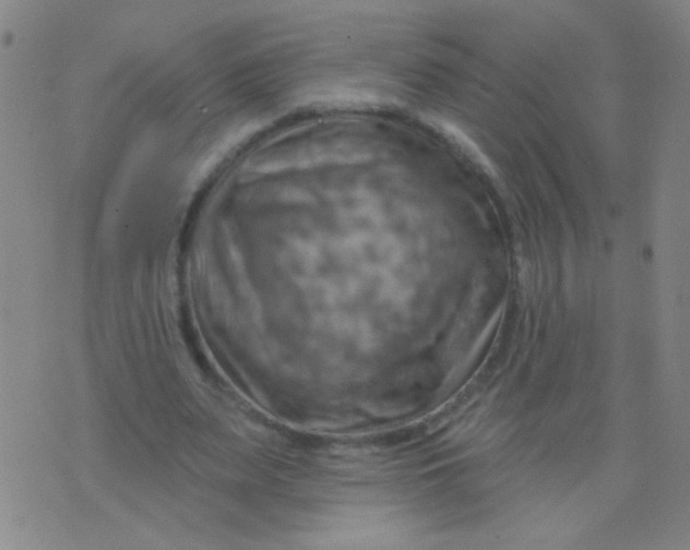 X0000075830487200610061826