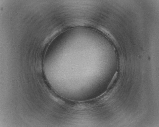 X0000075830489200610061826