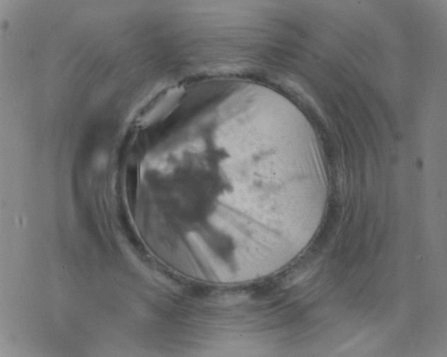 X0000075830491200610061826