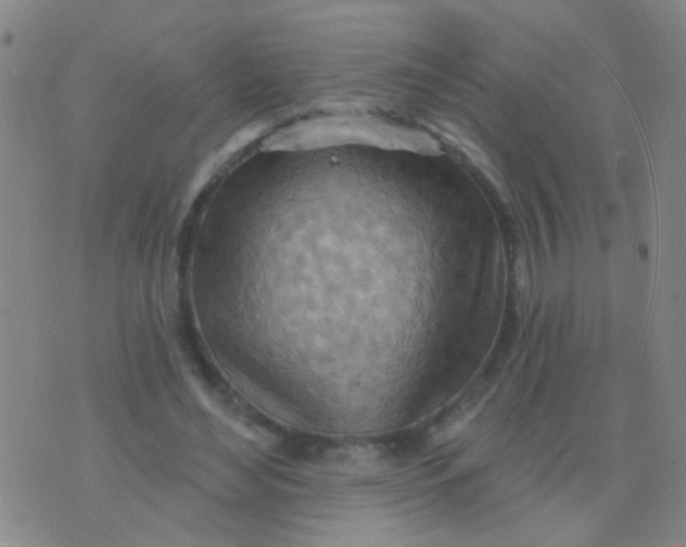 X0000075830492200610061826