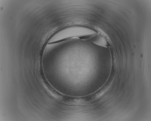 X0000075830493200610061826