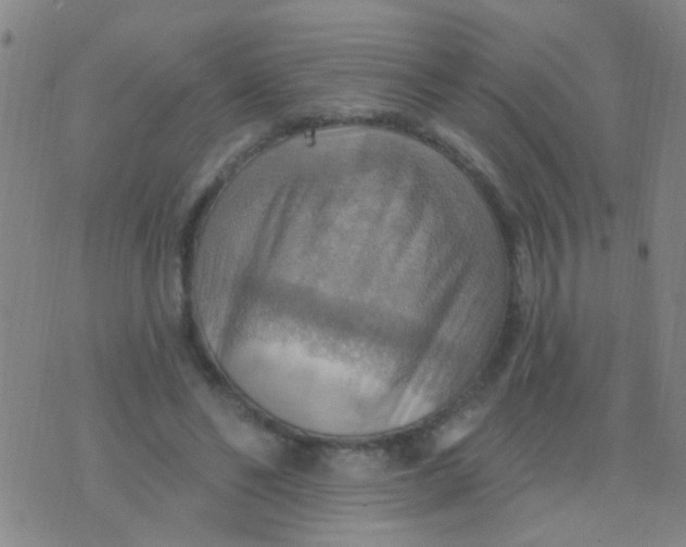 X0000075830494200610061826