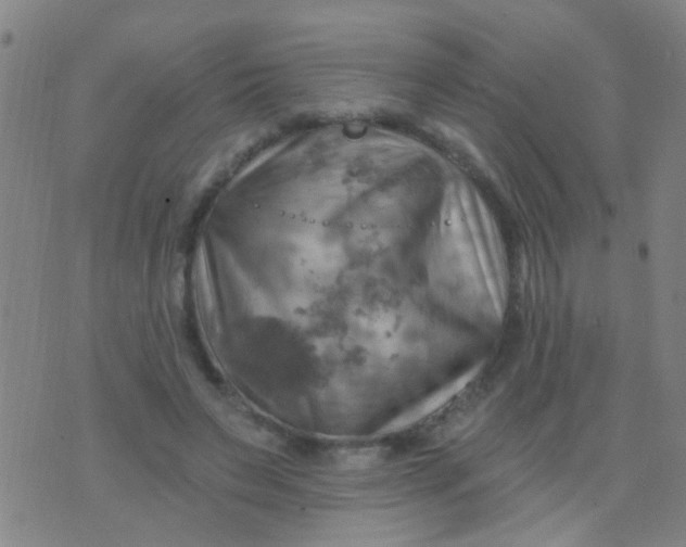 X0000075830495200610061825