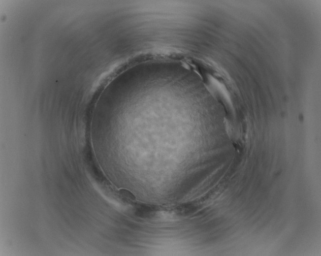 X0000075830496200610061825