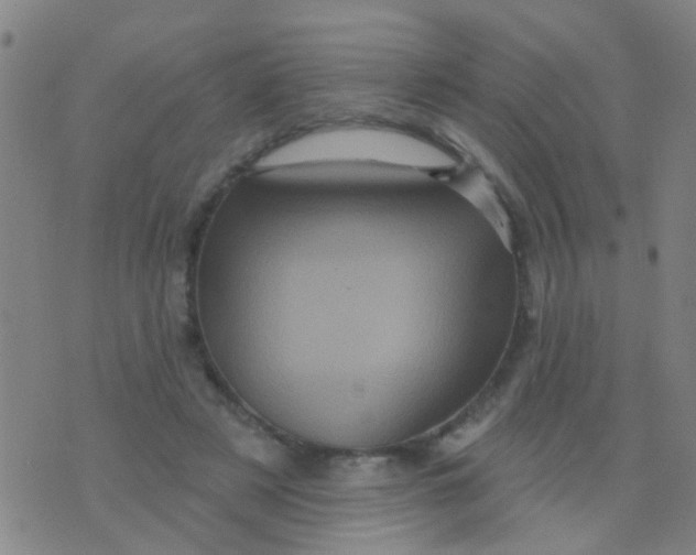 X0000075830497200610061825