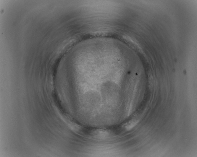 X0000075830498200610061825