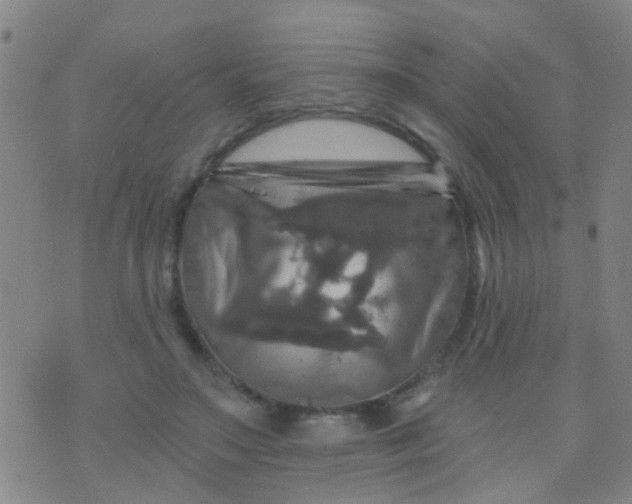 X0000075830499200610061825