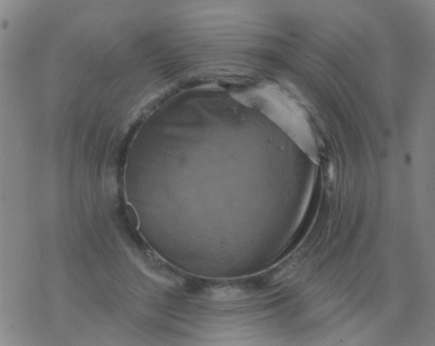 X0000075830500200610061825