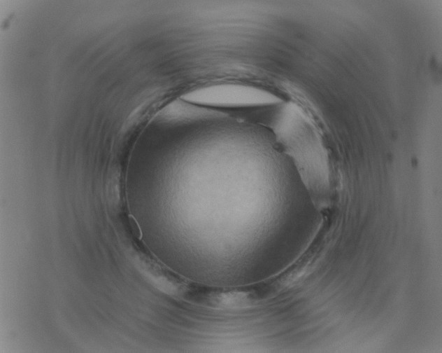 X0000075830501200610061825