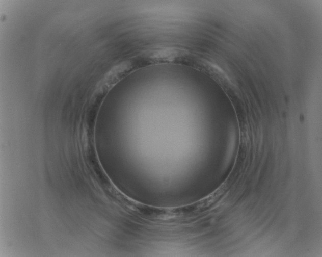 X0000075830504200610061825