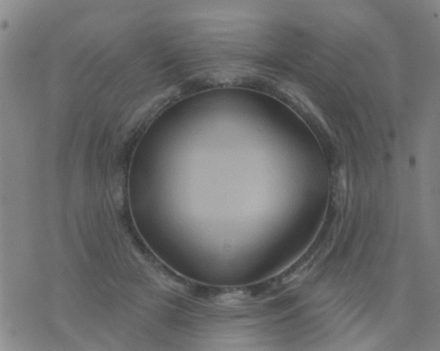 X0000075830505200610061825