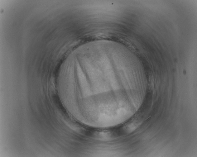 X0000075830506200610061825