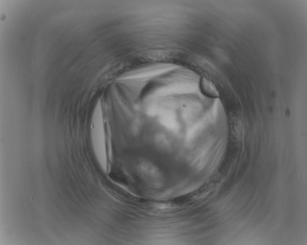 X0000075830507200610061825