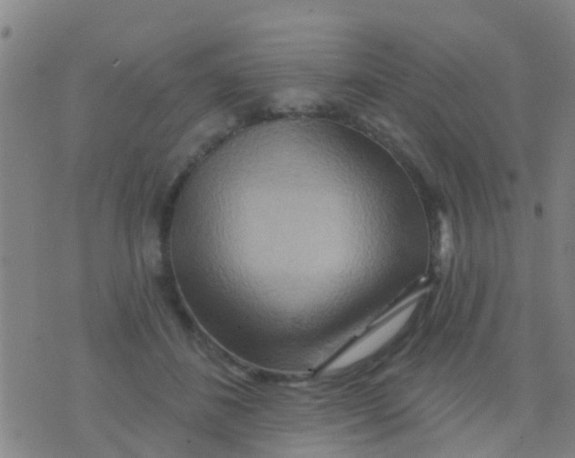 X0000075830508200610061825