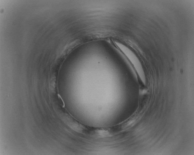 X0000075830509200610061825