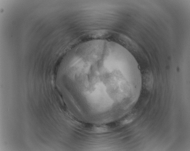 X0000075830510200610061825